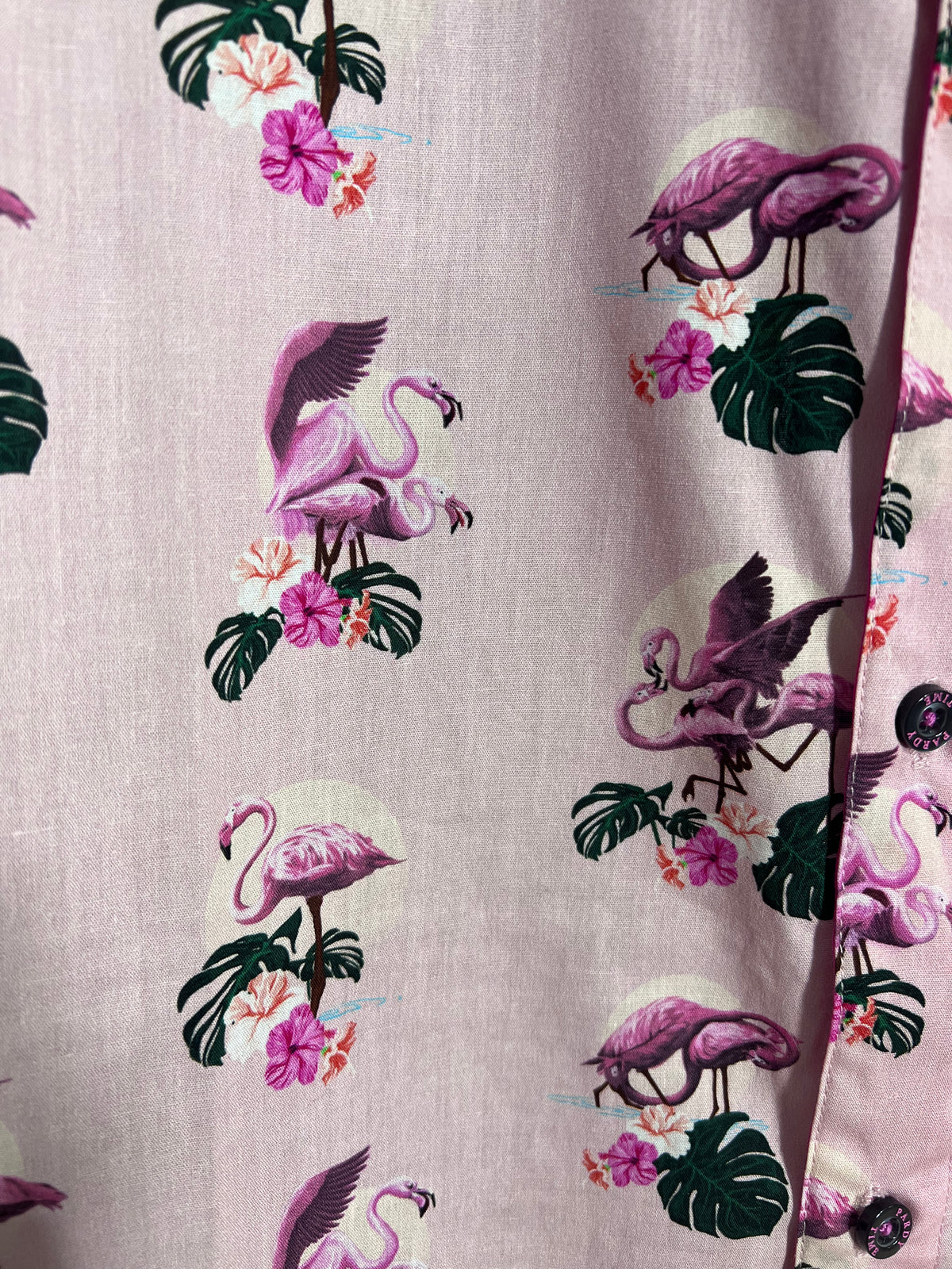 SALE! Frisky Flamingos Button Down Shirt