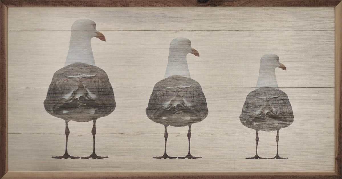 Three seagulls on a wooden background wall art decor - Island Soul Clothing & Gifts Seaside Heights New Jersey