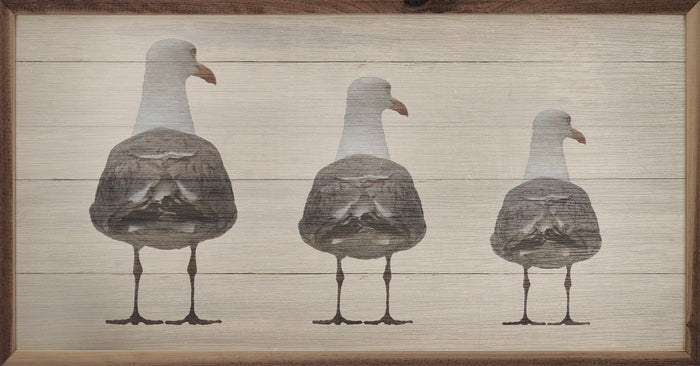Three seagulls on a wooden background wall art decor - Island Soul Clothing & Gifts Seaside Heights New Jersey