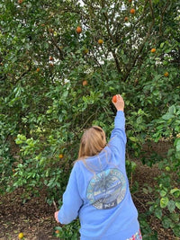 Island Soul Palm Hoodie Sweatshirt - Unisex