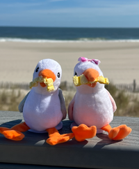 Seagull Shoulder Sitters