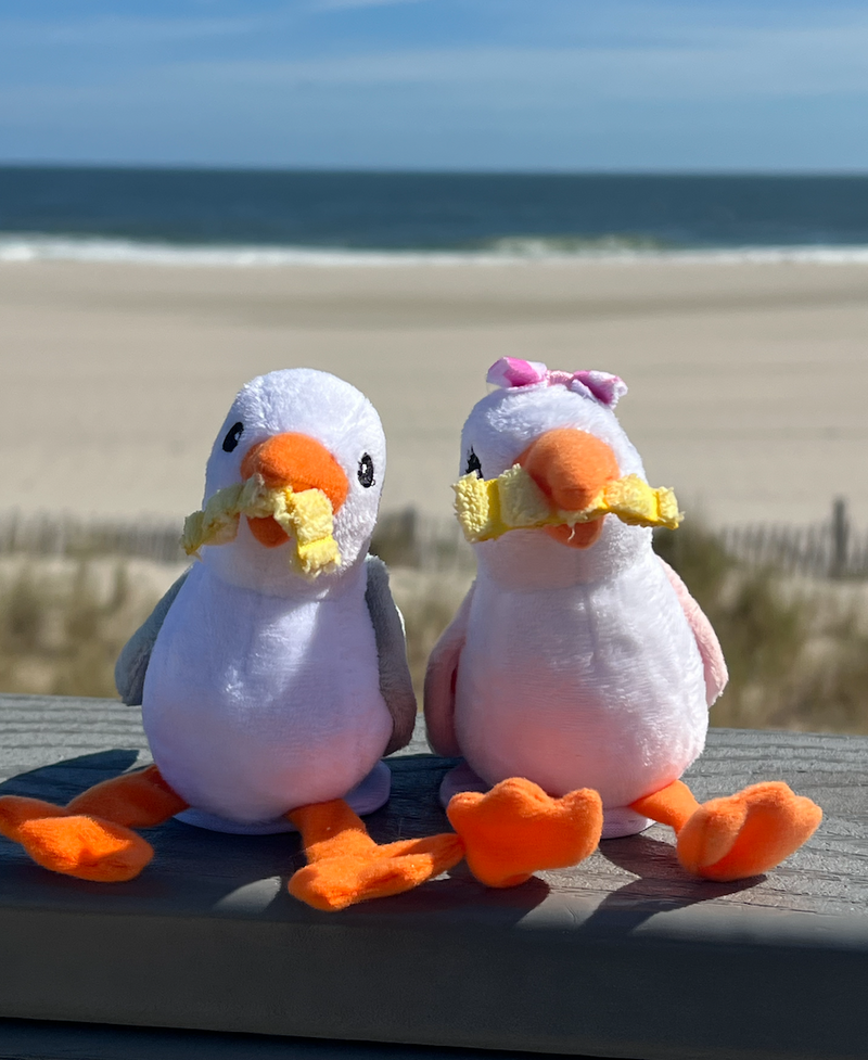 Seagull Shoulder Sitters