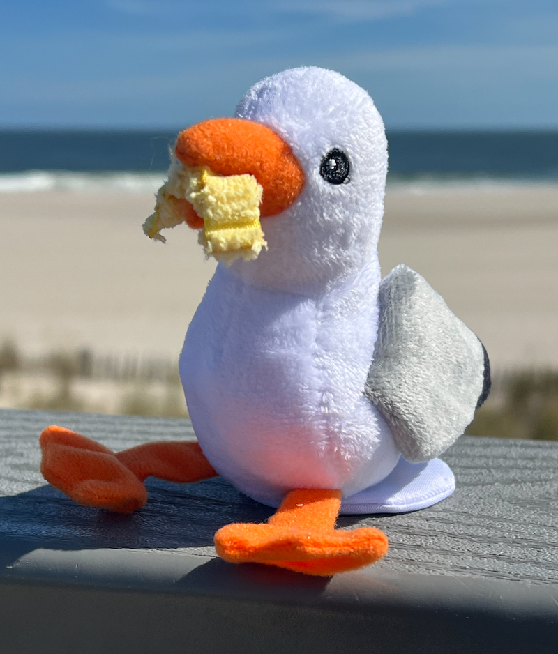 Seagull Shoulder Sitters