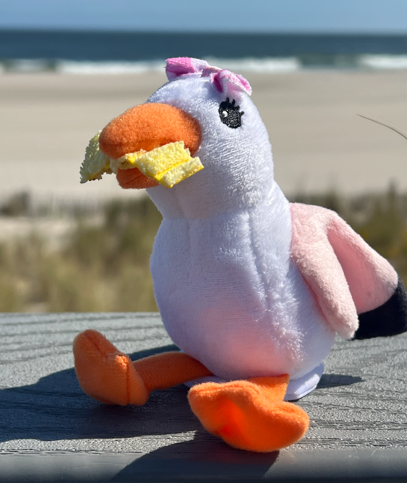 Seagull Shoulder Sitters