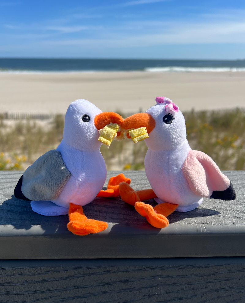 Seagull Shoulder Sitters